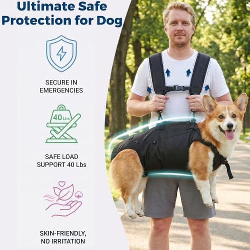 Dog Lift Harness – Full-Body Support Carrier for Senior & Post-Surgery Dogs (Large, 24–40 lb)