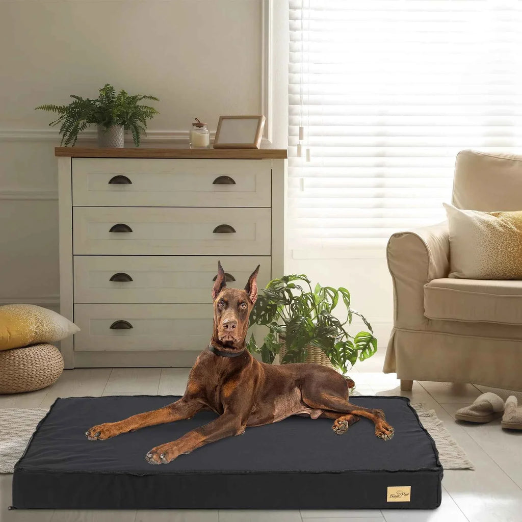 Orthopedic Dog Bed with Washable Cover – Supportive Foam for Large Senior Dogs