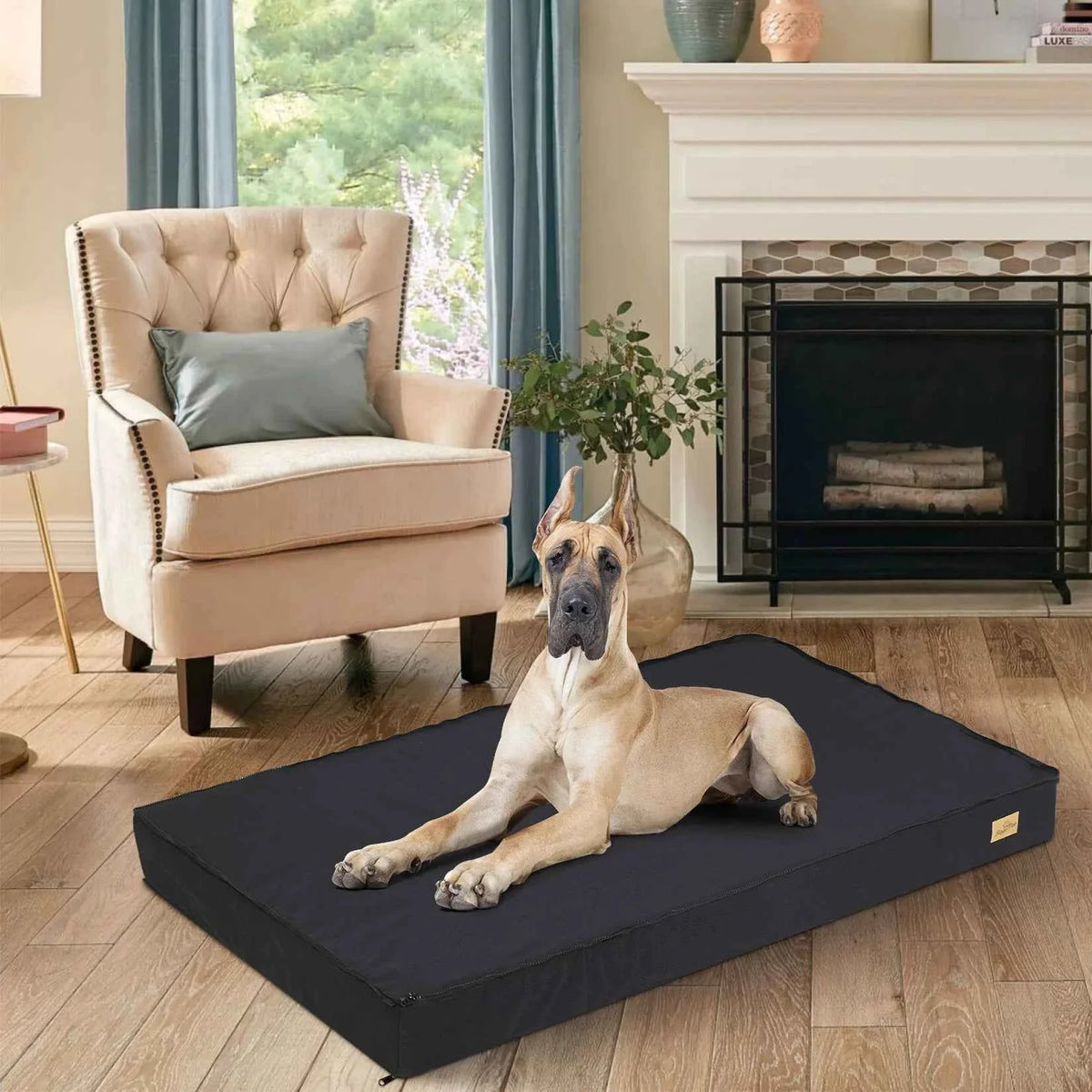 Orthopedic Dog Bed with Washable Cover – Supportive Foam for Large Senior Dogs