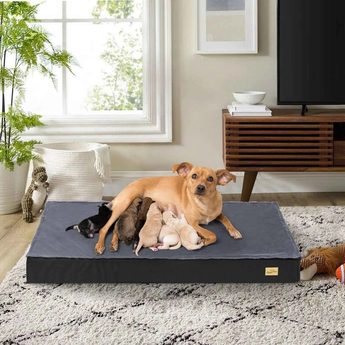 Orthopedic Dog Bed with Washable Cover – Supportive Foam for Large Senior Dogs