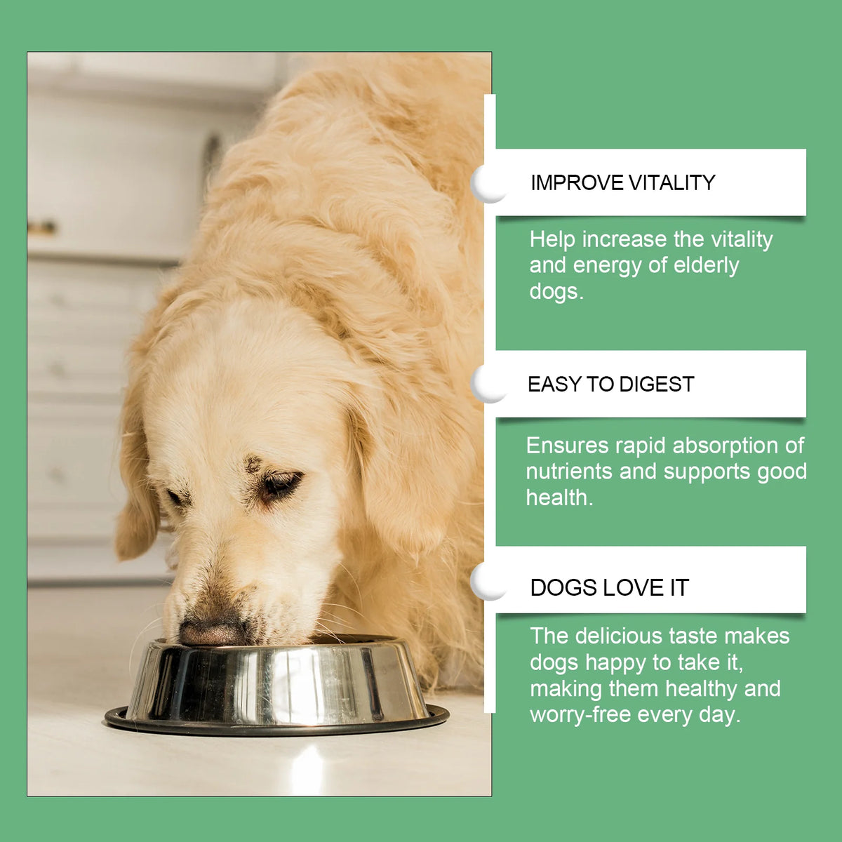 Senior Dog Multivitamin – 80 Chewable Tablets for Older Dogs