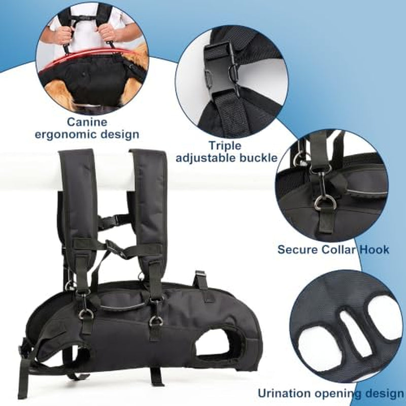 Dog Lift Harness – Full-Body Support Carrier for Senior & Post-Surgery Dogs (Large, 24–40 lb)